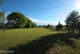 1472 Mulberry Pike Pike - Photo 92