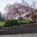 3519 Chenoweth Run Rd - Photo 8
