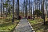 180 Pine Trail - Photo 13
