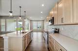 103 Dayflower Ct - Photo 3