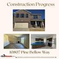 10807 Pine Bellow Ln - Photo 4