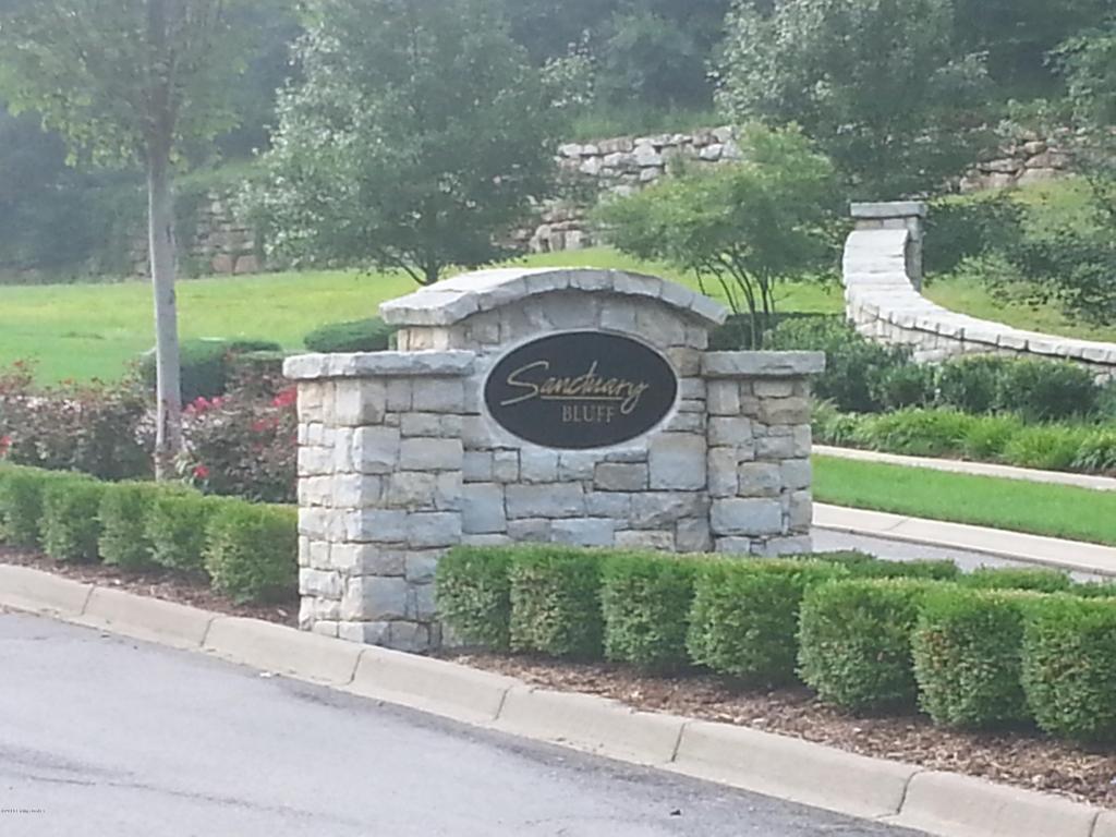 54 Sanctuary Bluff - Photo 1