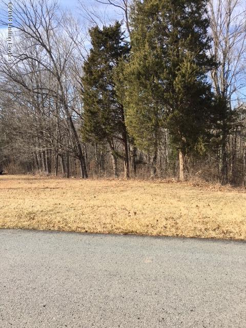 0 Laurel River Rd - Photo 1
