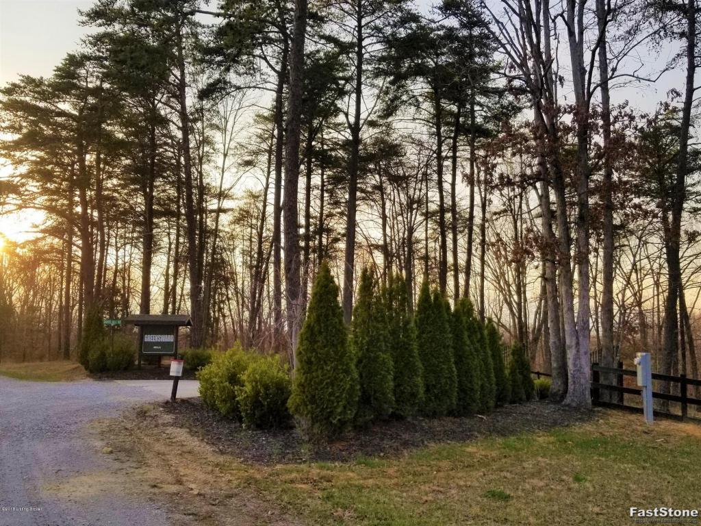 Lot 8 Danes Hill Rd - Photo 1