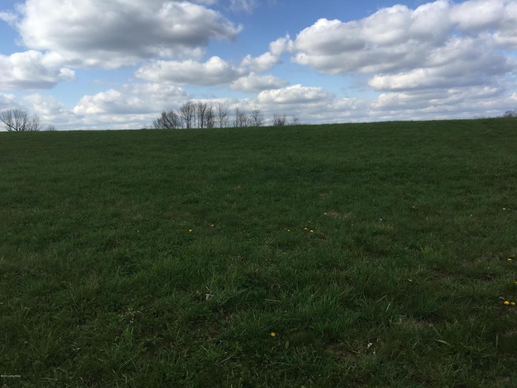 tract 1 Waddy Rd - Photo 1