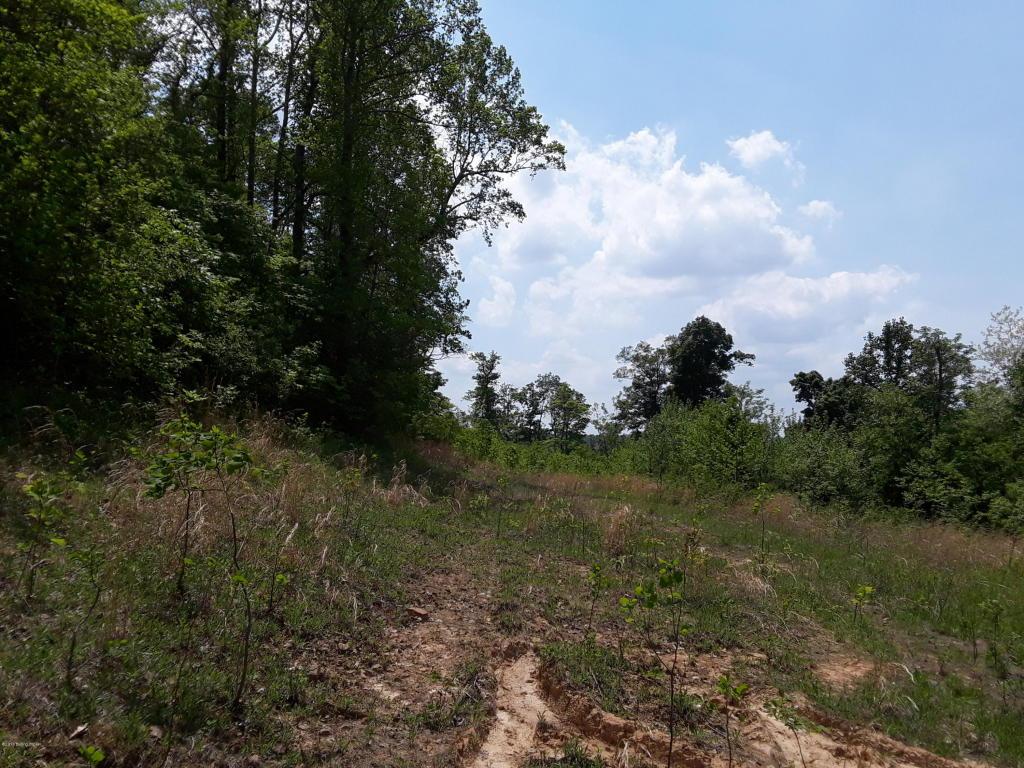 Lot 10 Big Bend Rd - Photo 1