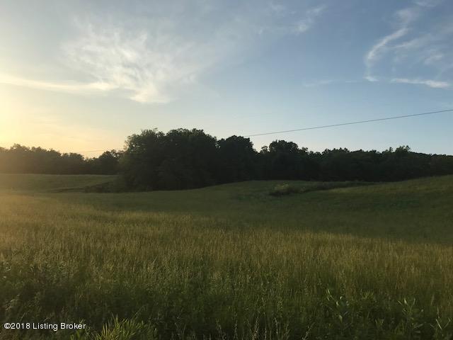 0 Sulphur Lick Rd - Photo 1