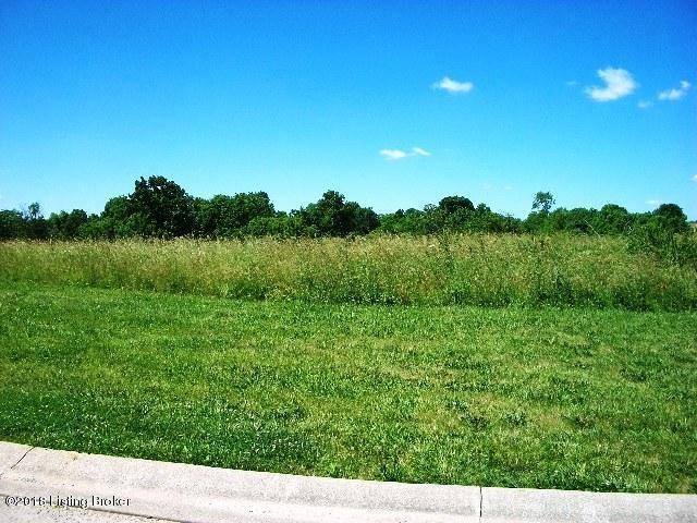 53 Oak Tree Way - Photo 1