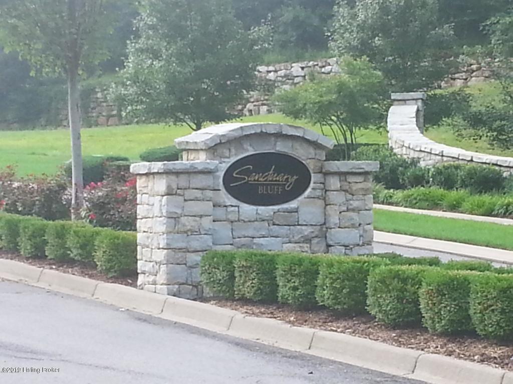 4119 Sanctuary Bluff Ln - Photo 1