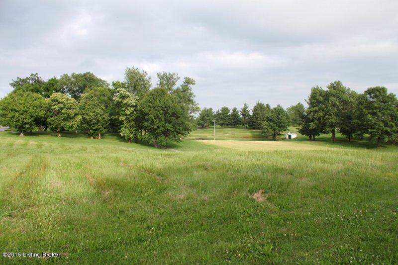 Lot 6A Otter Creek Rd - Photo 1