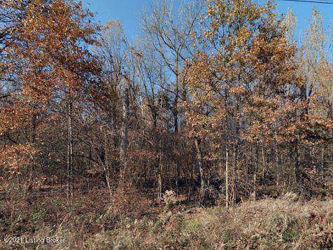 8102 3rd Street Rd - Photo 1
