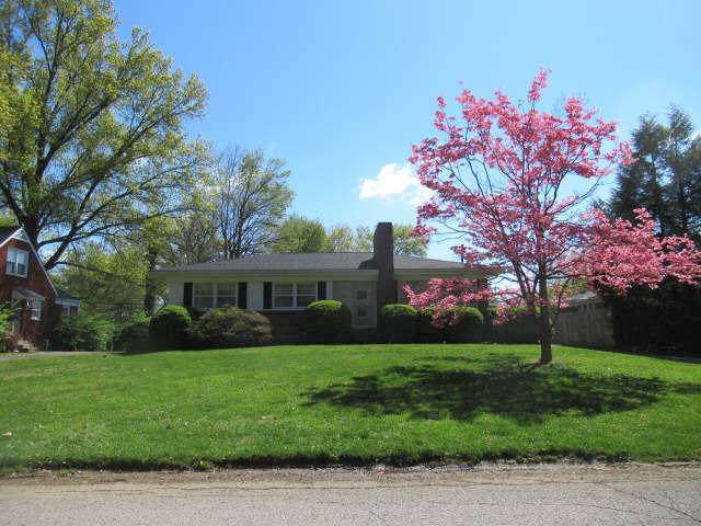 203 Bramton Rd - Photo 1