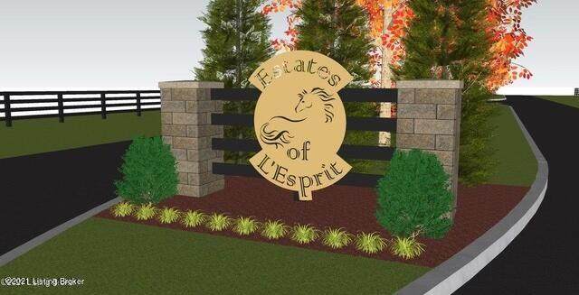 Lot 5 L'esprit Pkwy - Photo 1