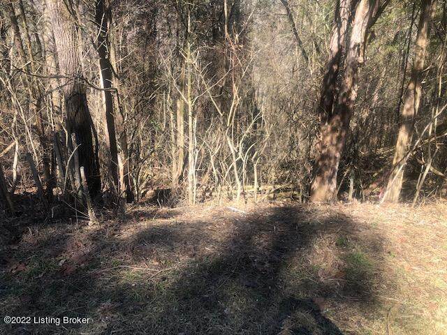 212 & 213 Cedarmore Rd - Photo 1