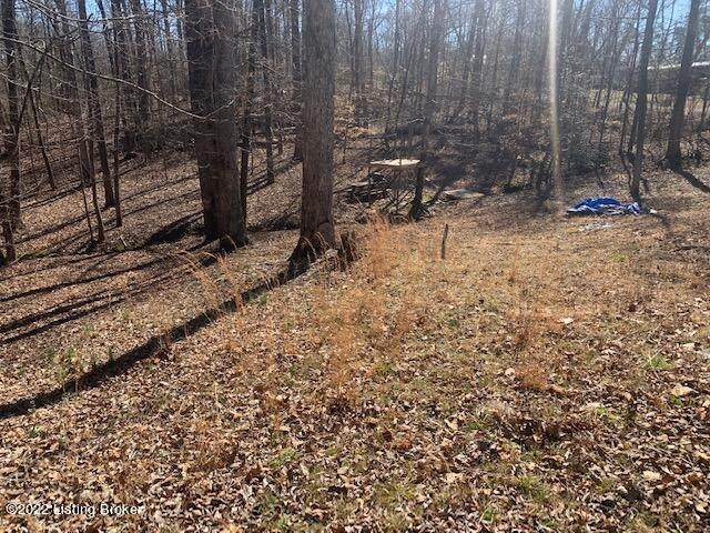208 Stroud Decker Ln - Photo 1