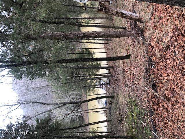 218 Cedarmore Rd - Photo 1