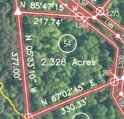L54 Lizzie Dr - Photo 1