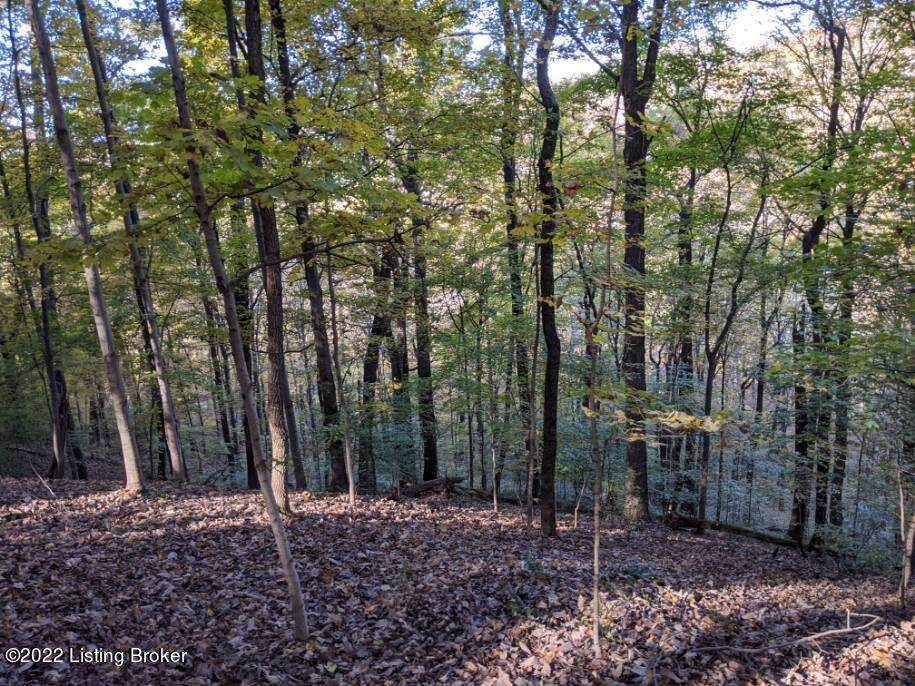4800 Blevins Gap Rd - Photo 1