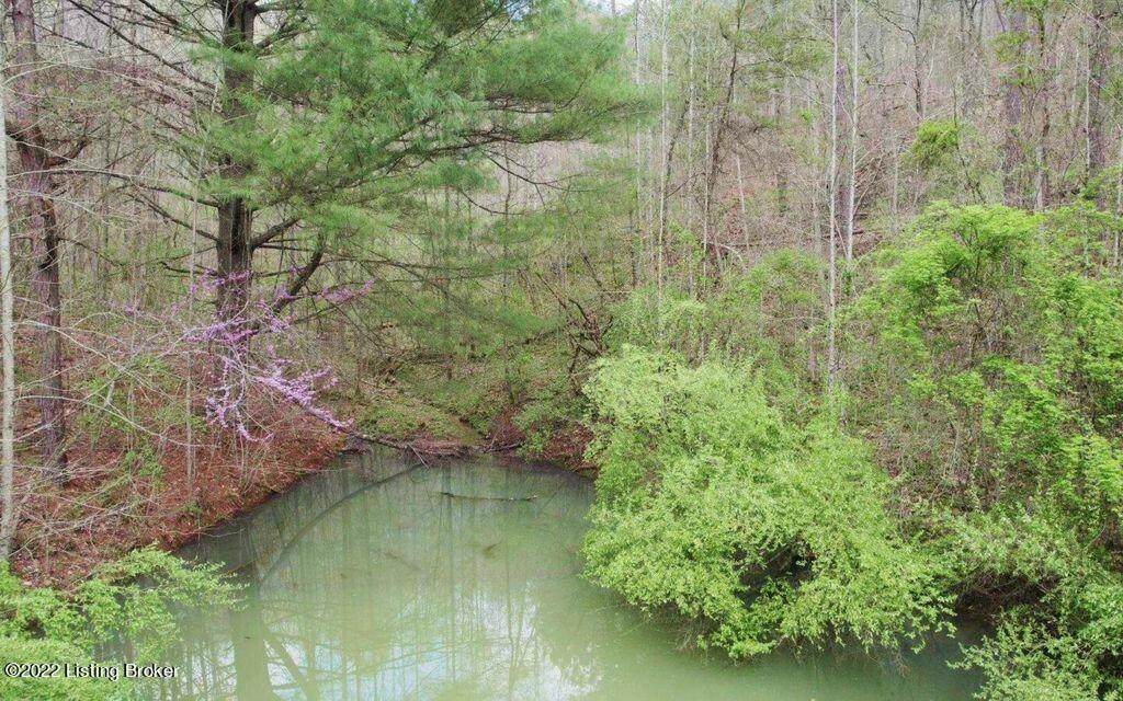 0 Tom Rose Branch Rd Rd - Photo 1