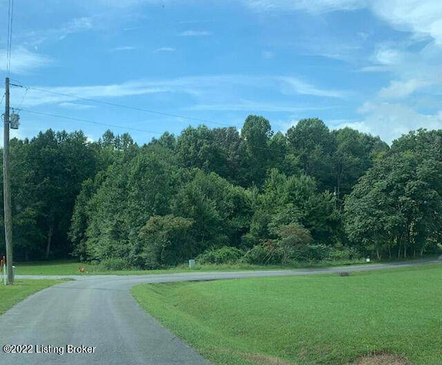 Lot 22 Hickory Ln - Photo 1