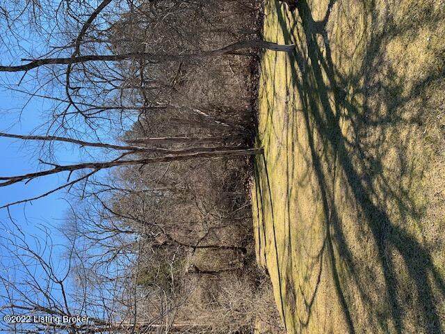 7505 Commonwealth Dr - Photo 1