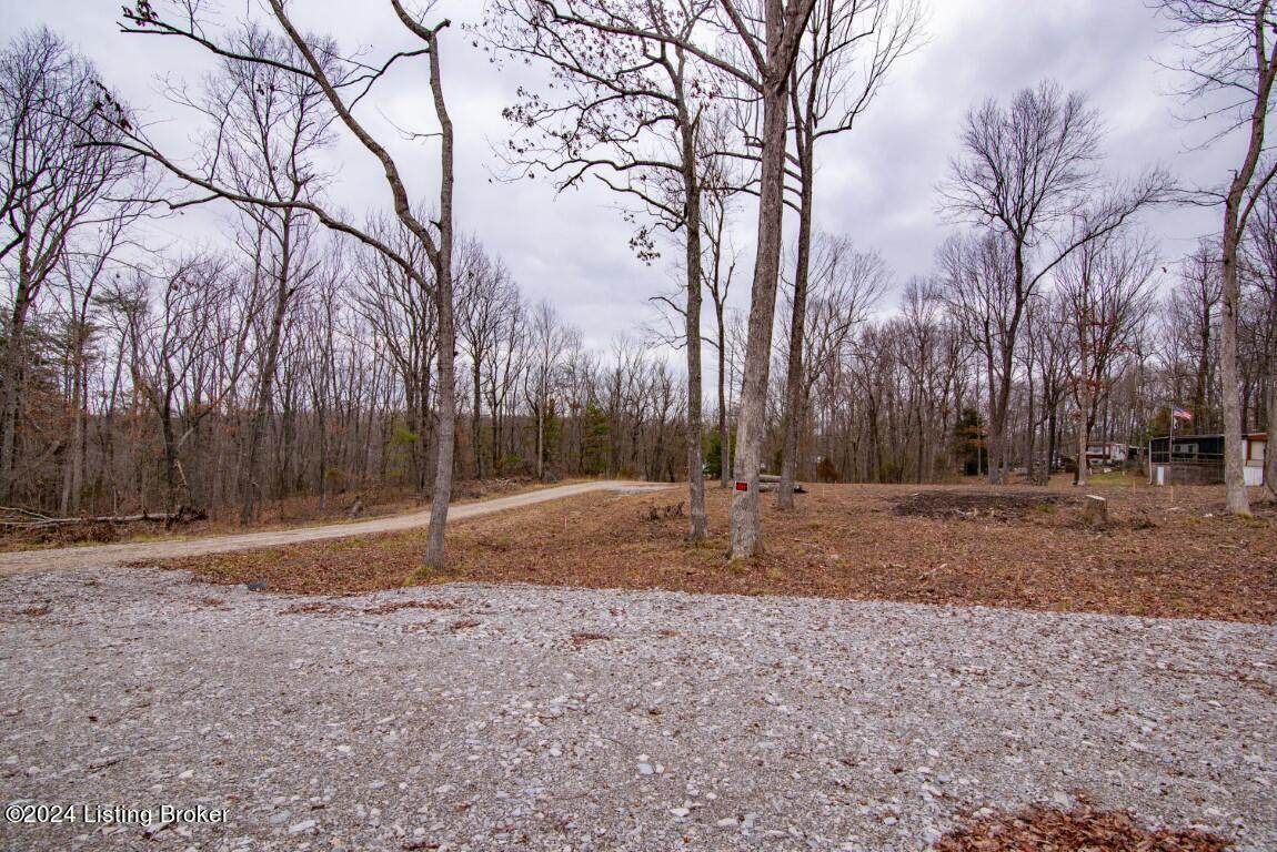 106 Tulip Ln - Photo 1