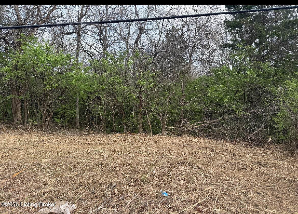 2303 Zhale Smith Rd - Photo 1