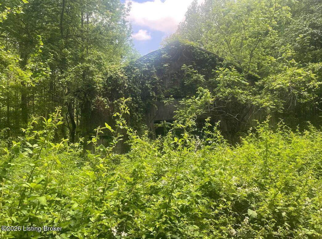 449 Doug Thompson Rd - Photo 1