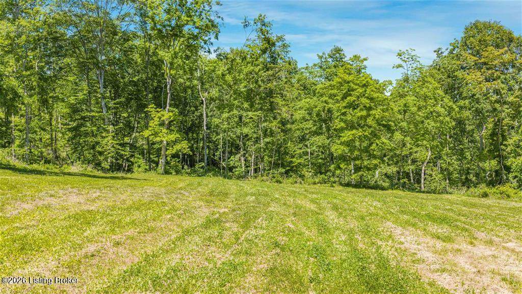 0 Clifty Hollow Rd - Photo 1