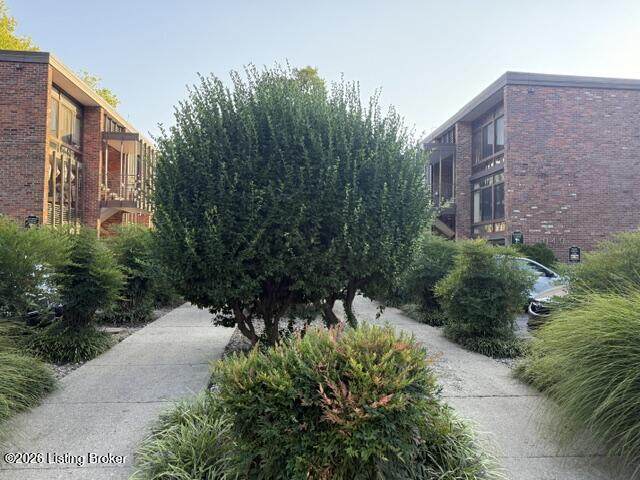 https://bt-photos.global.ssl.fastly.net/louisville/orig_boomver_1_1729564-2.jpg