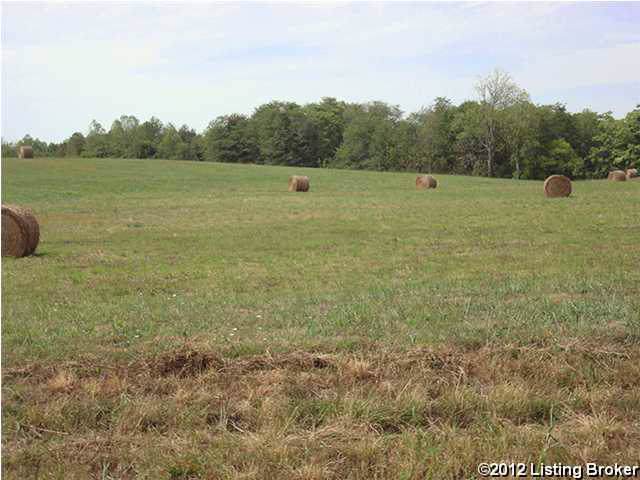 5002 Sycamore Run Dr - Photo 1 5002 Sycamore Run Dr - Photo 1