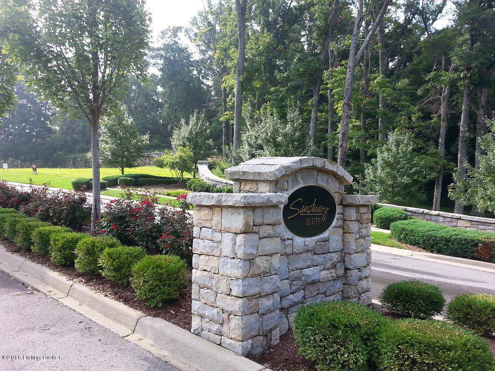 15 Sanctuary Bluff Ln - Photo 1