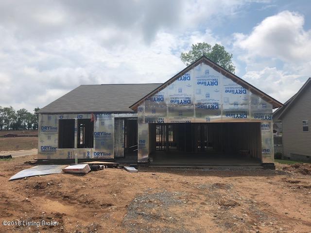 101 Spring Leaf Ct - Photo 1