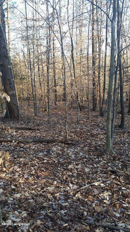 347 Big Country Rd - Photo 1