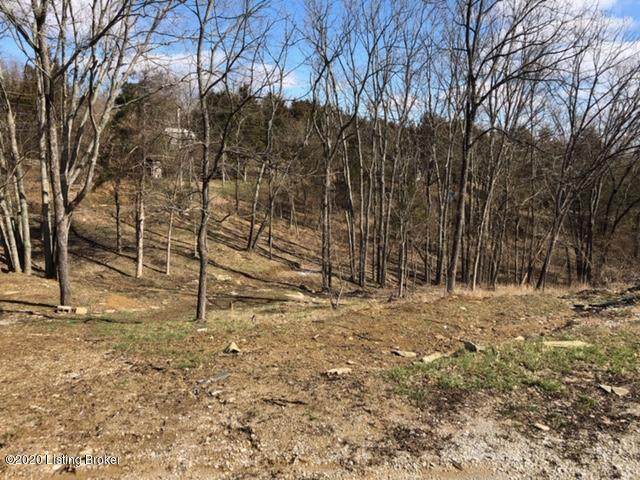 Lot 73E Trailwood Lake Rd - Photo 1