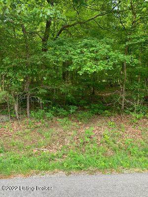 Lot #3 Dog Creek Rd - Photo 1