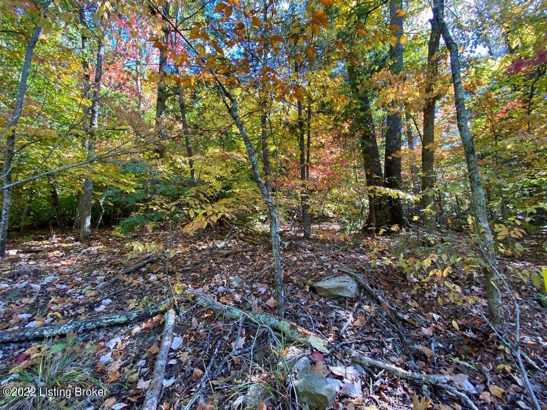L11 Ted Logsdon Rd - Photo 1