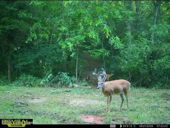 975 Long Run Rd - Photo 1