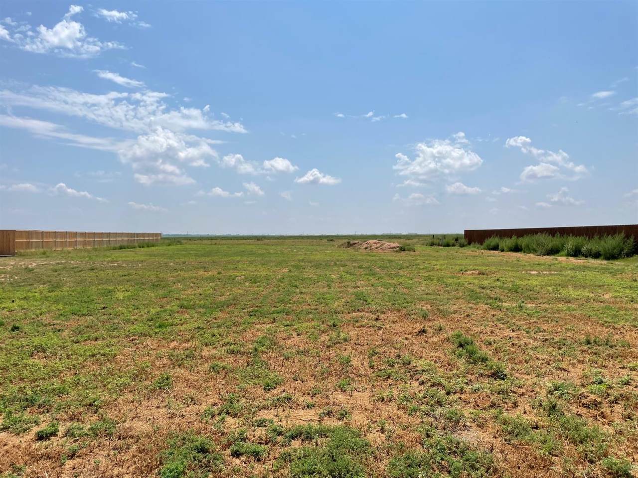 1045 Kitty Lane - Photo 1