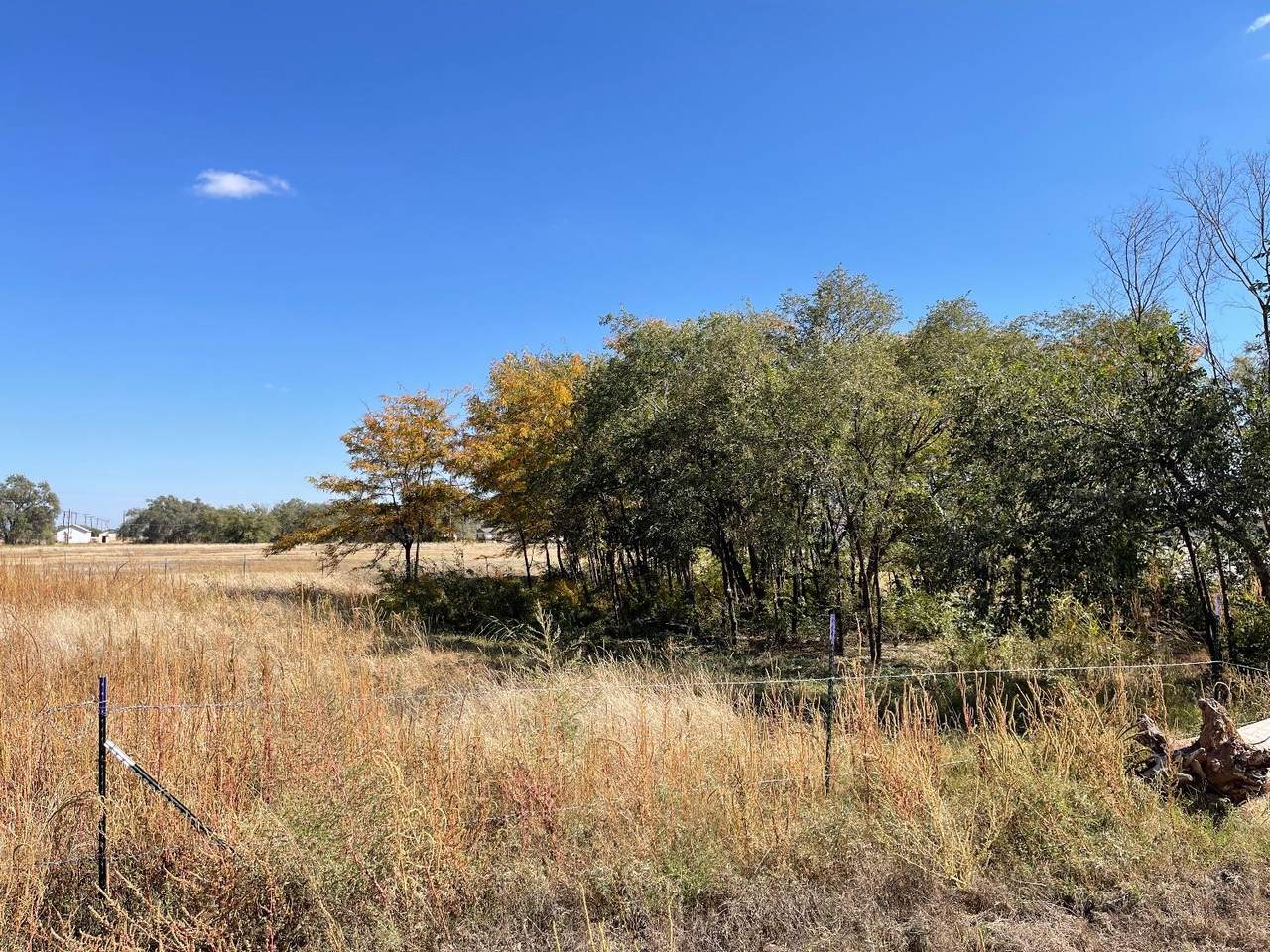 810 1st Street - Photo 1