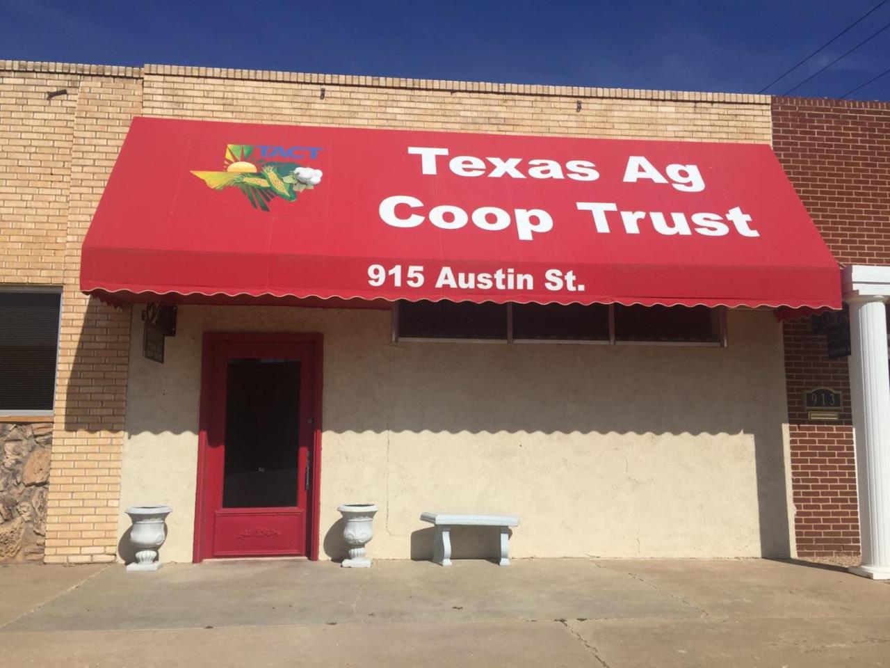 915 Austin Street - Photo 1