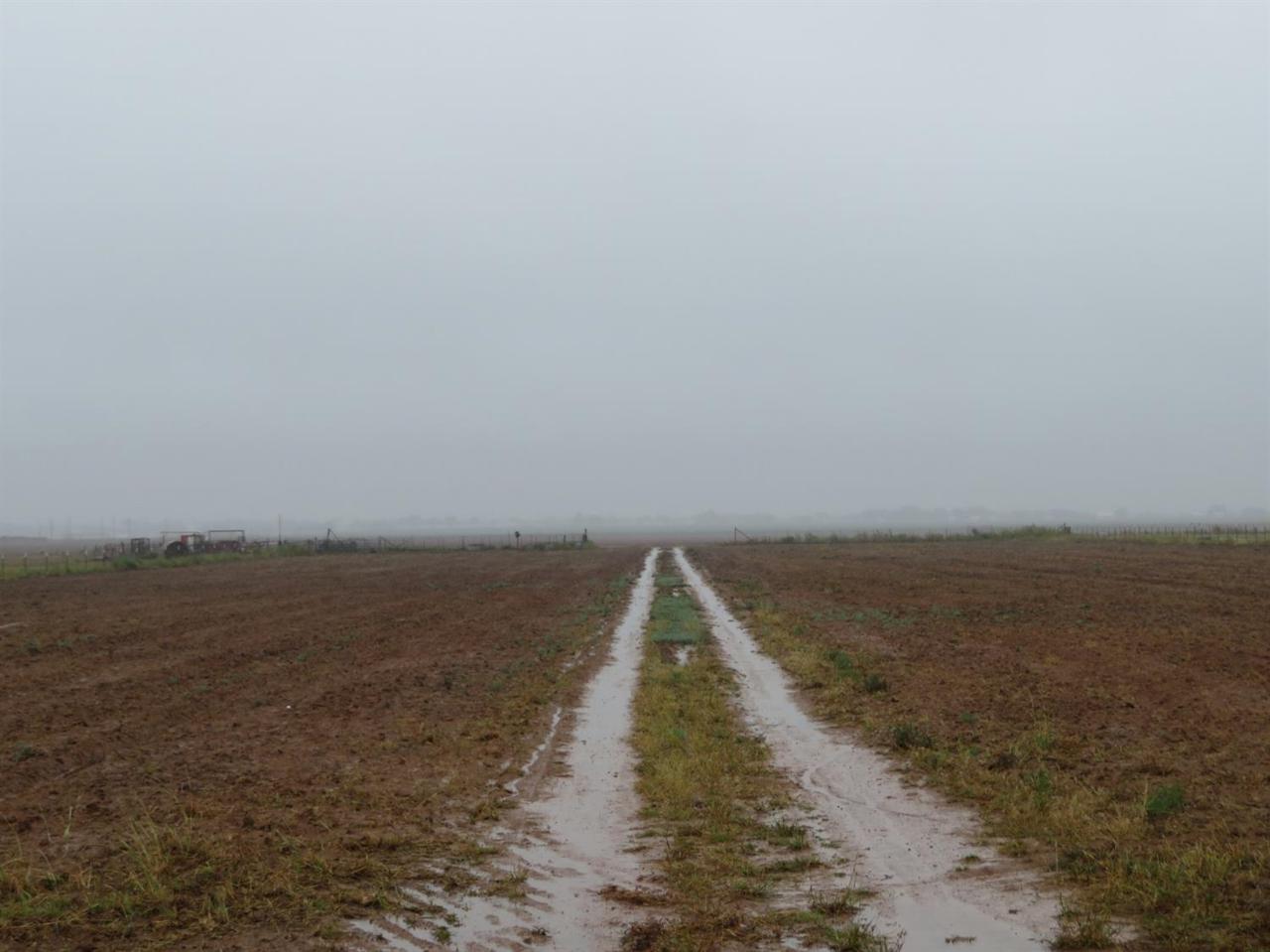 0 Farm Road 41 - Photo 1