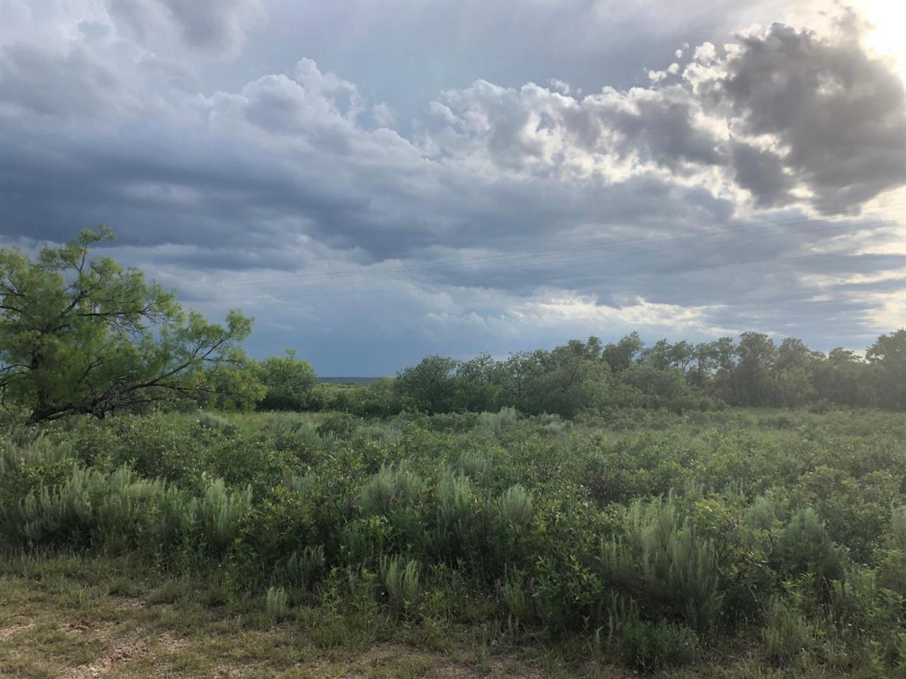 0 County Road 450 - Photo 1