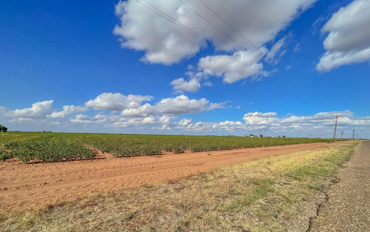 6769 Foster Road - Photo 1