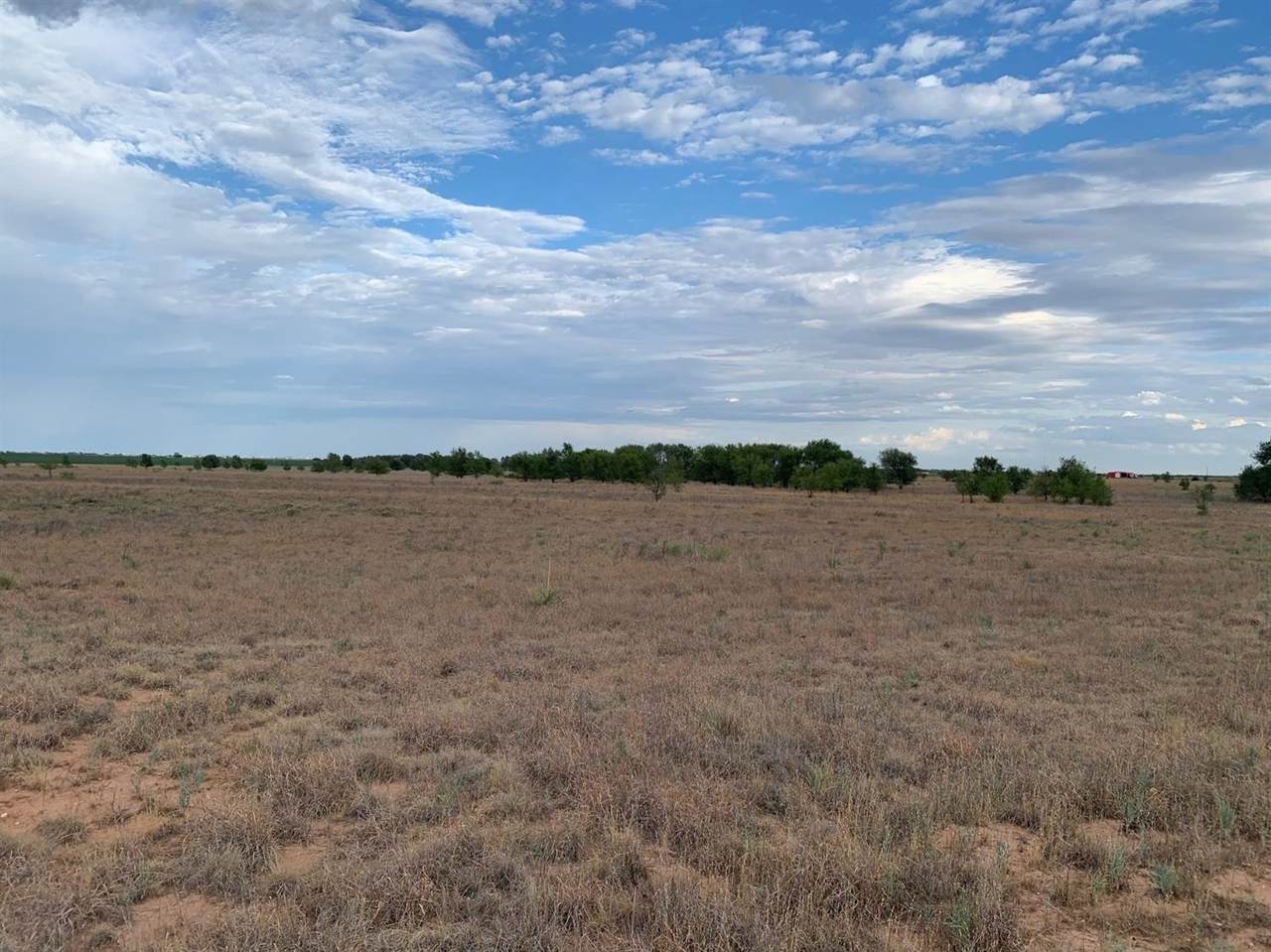 10023 County Road 6100 - Photo 1