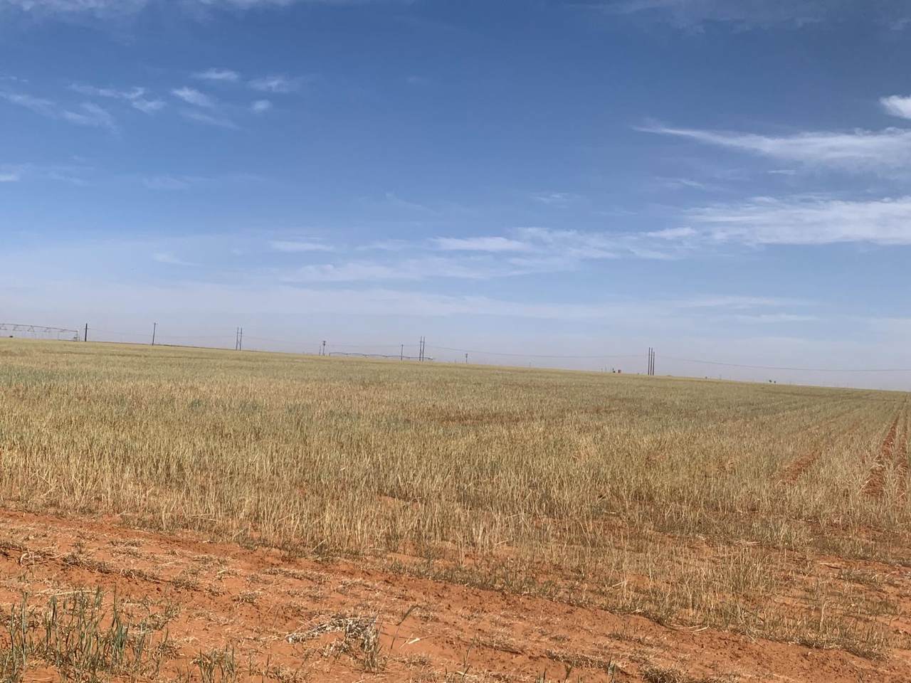 https://bt-photos.global.ssl.fastly.net/lubbock/1280_boomver_1_20250324152341210792000000-2.jpg