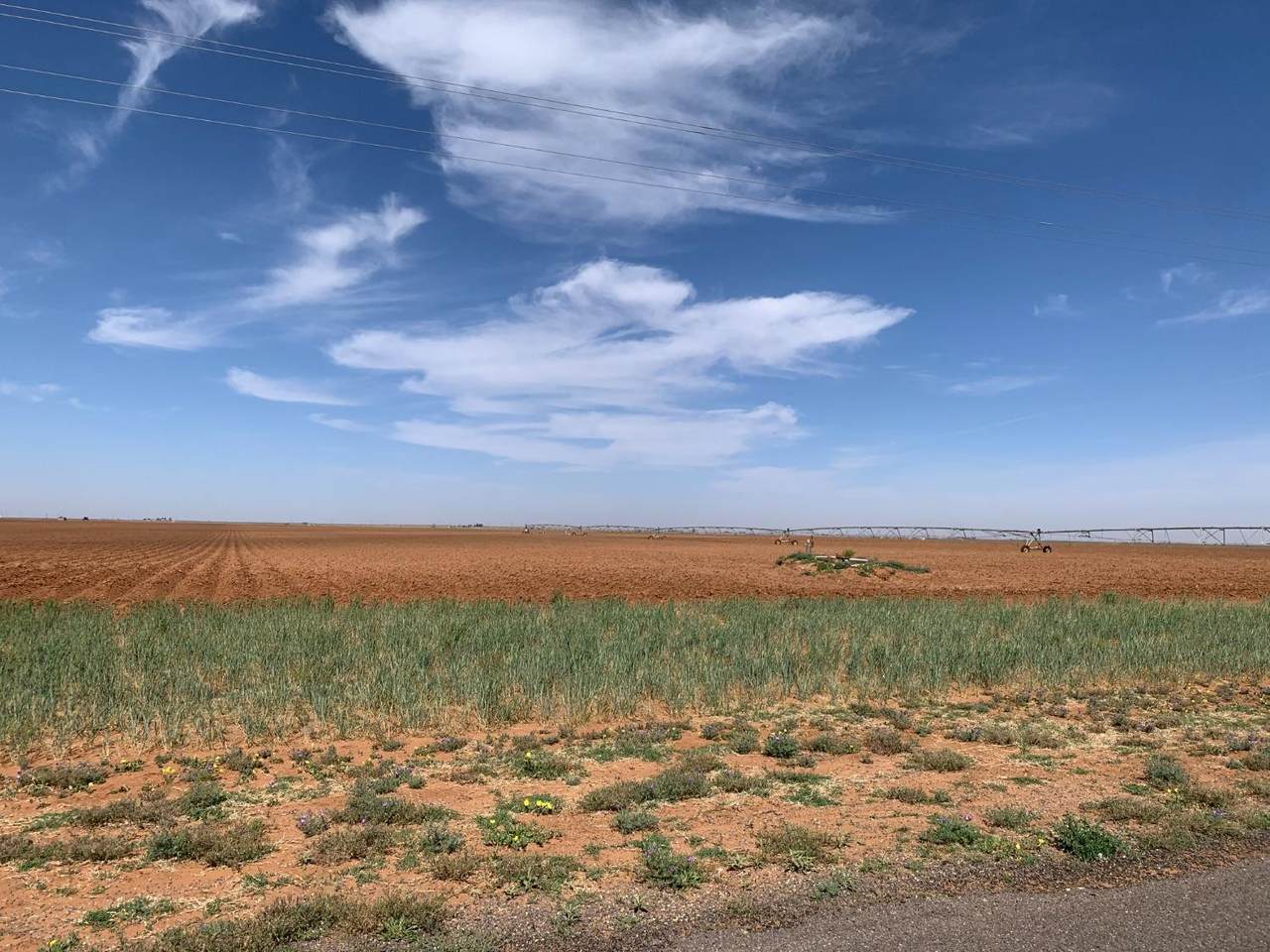 https://bt-photos.global.ssl.fastly.net/lubbock/1280_boomver_1_20250324154221245839000000-2.jpg