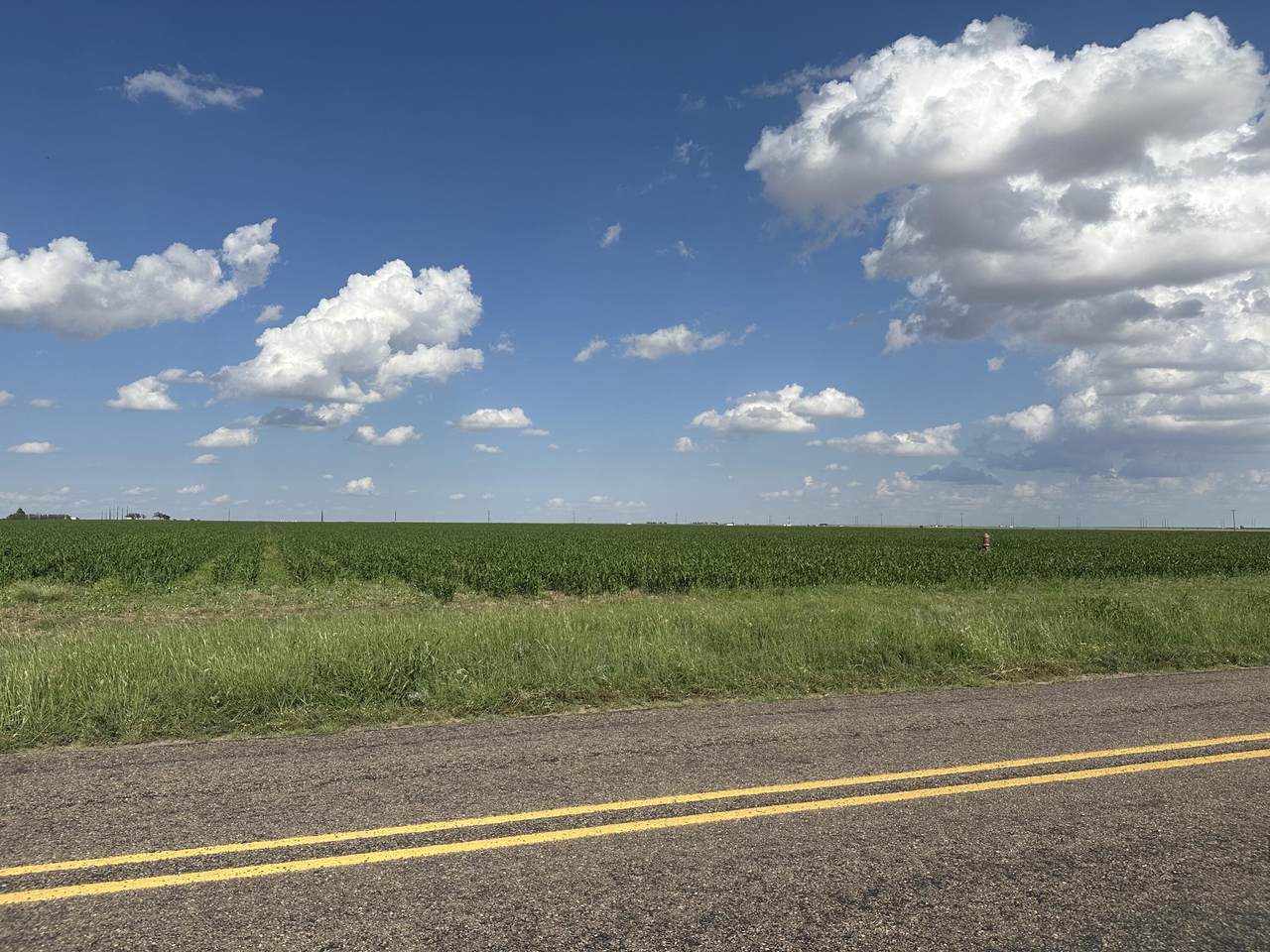 2646 Fm 2646 - Photo 1