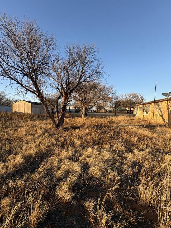 https://bt-photos.global.ssl.fastly.net/lubbock/1280_boomver_1_20260127010655497156000000-2.jpg