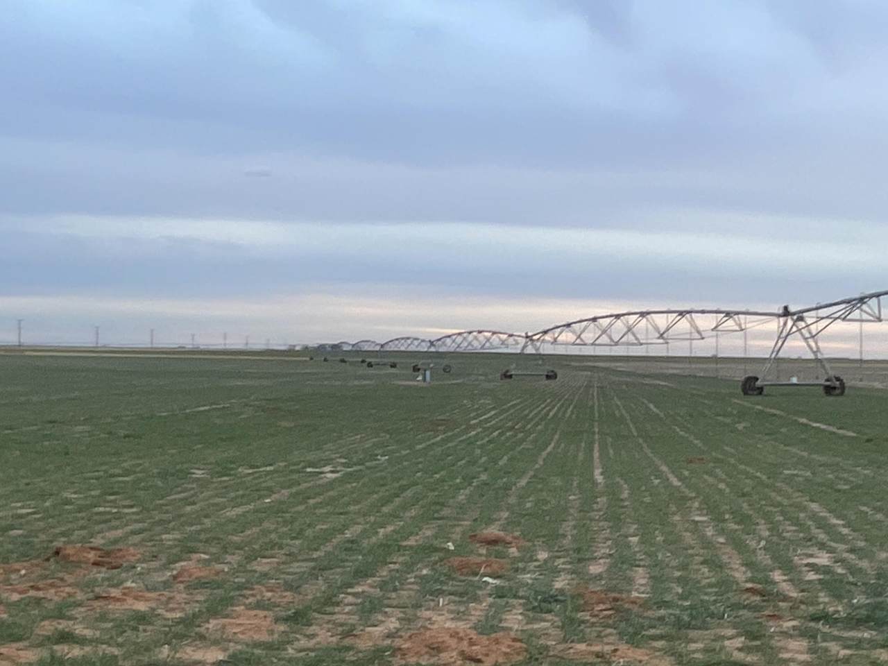 https://bt-photos.global.ssl.fastly.net/lubbock/1280_boomver_1_20260205193646443801000000-2.jpg